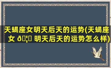 天蝎座女明天后天的运势(天蝎座女 🦁 明天后天的运势怎么样)